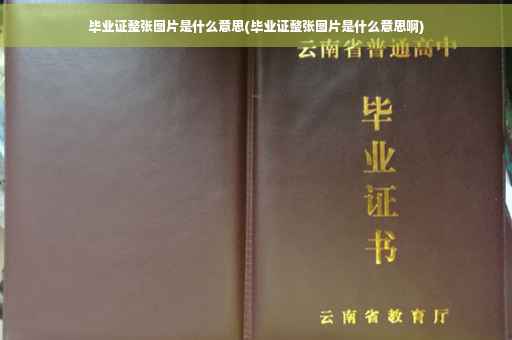 毕业证整张图片是什么意思(毕业证整张图片是什么意思啊)