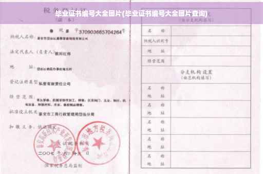 毕业证书编号大全图片(毕业证书编号大全图片查询)