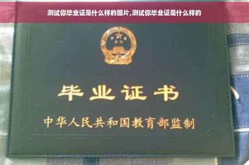 测试你毕业证是什么样的图片,测试你毕业证是什么样的
