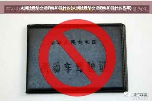 大妈捡走毕业证的电影是什么(大妈捡走毕业证的电影是什么名字)