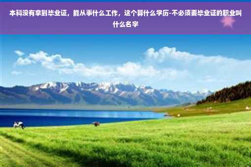 本科没有拿到毕业证，能从事什么工作，这个算什么学历-不必须要毕业证的职业叫什么名字