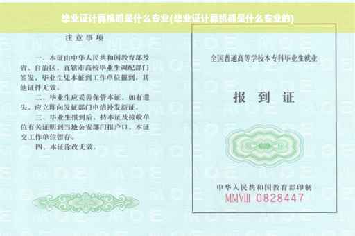 毕业证计算机都是什么专业(毕业证计算机都是什么专业的)