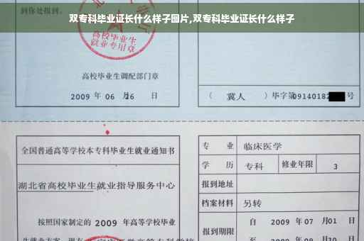 双专科毕业证长什么样子图片,双专科毕业证长什么样子