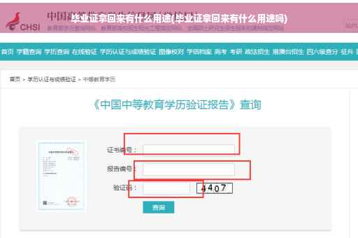 毕业证拿回来有什么用途(毕业证拿回来有什么用途吗)