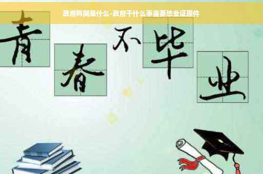 政府购岗是什么-政府干什么事需要毕业证原件