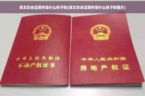英文毕业证原件是什么样子的(英文毕业证原件是什么样子的图片)