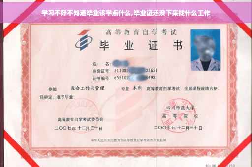 学习不好不知道毕业该学点什么,毕业证还没下来找什么工作