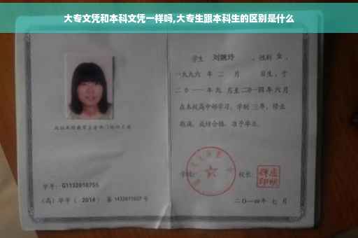 大专文凭和本科文凭一样吗,大专生跟本科生的区别是什么