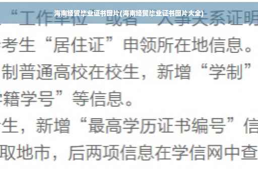 海南经贸毕业证书图片(海南经贸毕业证书图片大全)