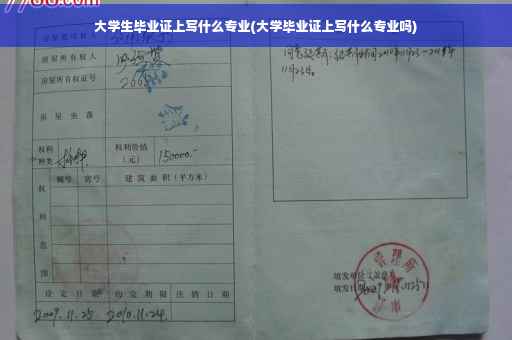 大学生毕业证上写什么专业(大学毕业证上写什么专业吗)