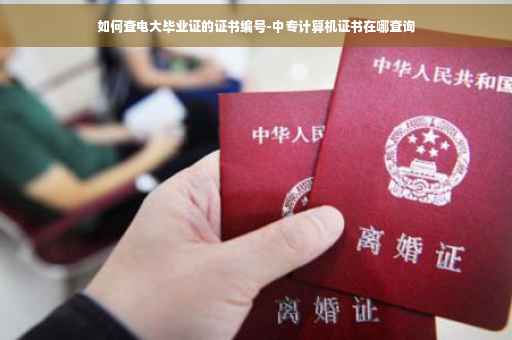 如何查电大毕业证的证书编号-中专计算机证书在哪查询