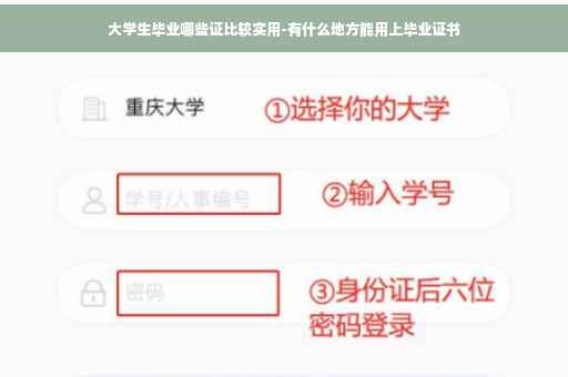 大学生毕业哪些证比较实用-有什么地方能用上毕业证书