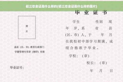 初三毕业证是什么样的(初三毕业证是什么样的图片)