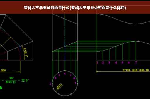 专科大学毕业证封面是什么(专科大学毕业证封面是什么样的)