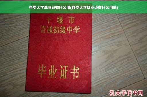 各类大学毕业证有什么用(各类大学毕业证有什么用处)