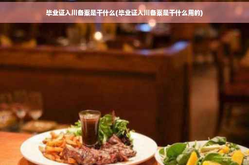 毕业证入川备案是干什么(毕业证入川备案是干什么用的)