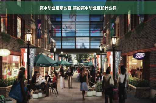 高中毕业证怎么查,真的高中毕业证长什么样