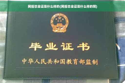 网报毕业证是什么样的(网报毕业证是什么样的啊)