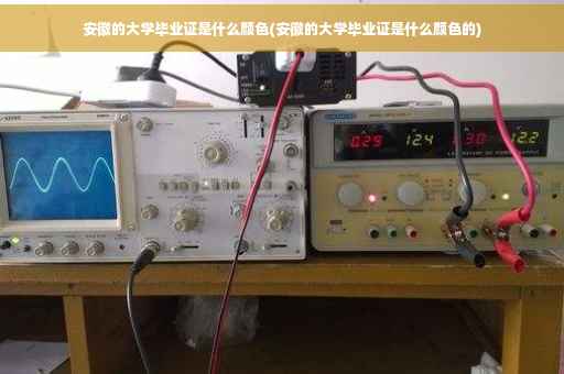 安徽的大学毕业证是什么颜色(安徽的大学毕业证是什么颜色的)