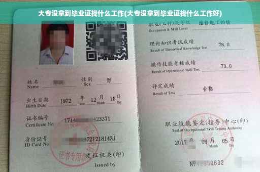 大专没拿到毕业证找什么工作(大专没拿到毕业证找什么工作好)