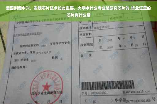 美国制裁中兴，发现芯片技术如此重要，大学中什么专业是研究芯片的,毕业证里的芯片有什么用