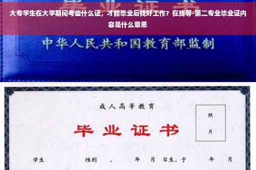 大专学生在大学期间考些什么证，才能毕业后找好工作？在线等-第二专业毕业证内容是什么意思