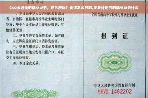 公司要收我的毕业证书，这合法吗？我该怎么应对,企业计划书的毕业证是什么