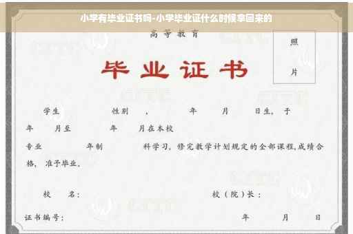 小学有毕业证书吗-小学毕业证什么时候拿回来的
