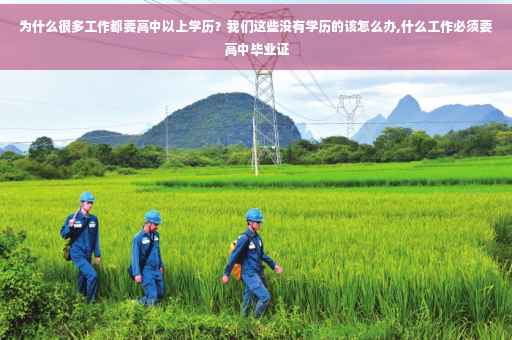 为什么很多工作都要高中以上学历？我们这些没有学历的该怎么办,什么工作必须要高中毕业证