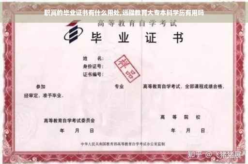职高的毕业证书有什么用处,远程教育大专本科学历有用吗