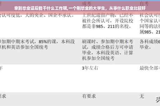 拿到毕业证后能干什么工作呢,一个刚毕业的大学生，从事什么职业比较好
