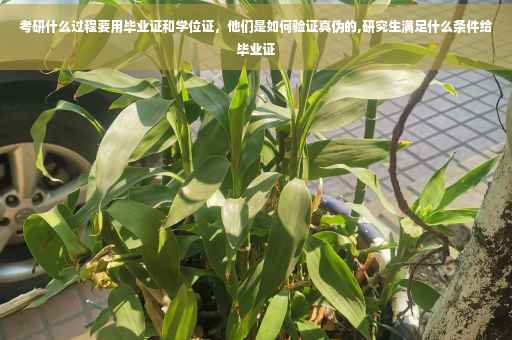 考研什么过程要用毕业证和学位证，他们是如何验证真伪的,研究生满足什么条件给毕业证