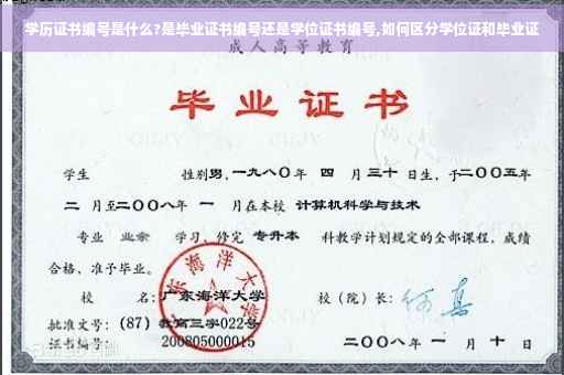 学历证书编号是什么?是毕业证书编号还是学位证书编号,如何区分学位证和毕业证