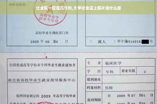 毕业照一般是几寸的,大学毕业证上照片是什么底