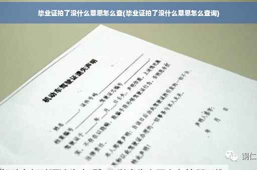 毕业证拍了没什么意思怎么查(毕业证拍了没什么意思怎么查询)