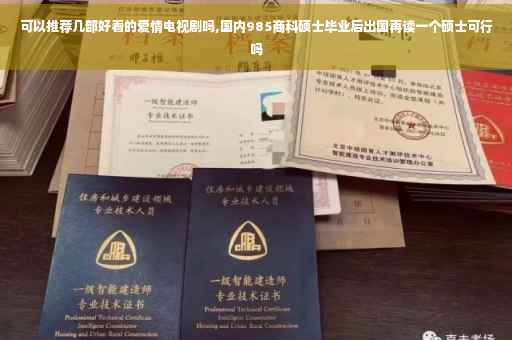 可以推荐几部好看的爱情电视剧吗,国内985商科硕士毕业后出国再读一个硕士可行吗