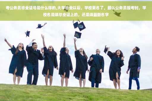 考公务员毕业证号是什么样的,大学毕业以后，学校更名了，那么公务员报考时，学校名是填毕业证上的，还是填最新名字
