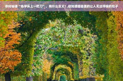 农村俗语“色字头上一把刀”，有什么含义? ,你知道哪些美的让人无法呼吸的句子