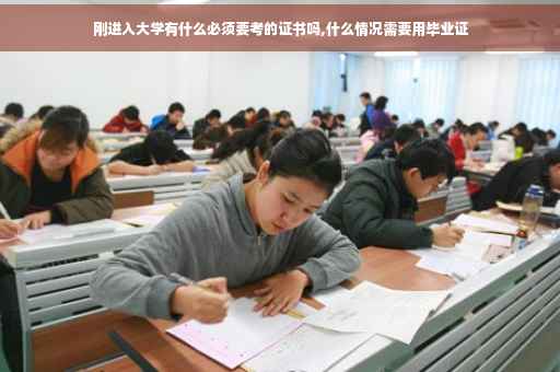 刚进入大学有什么必须要考的证书吗,什么情况需要用毕业证