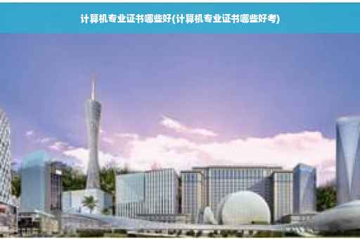 计算机专业证书哪些好(计算机专业证书哪些好考)