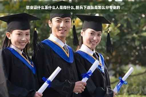 毕业证什么系什么人是指什么,新兵下连队是怎么分专业的