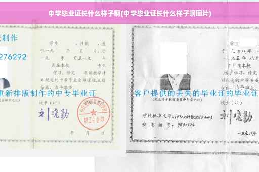 中学毕业证长什么样子啊(中学毕业证长什么样子啊图片)