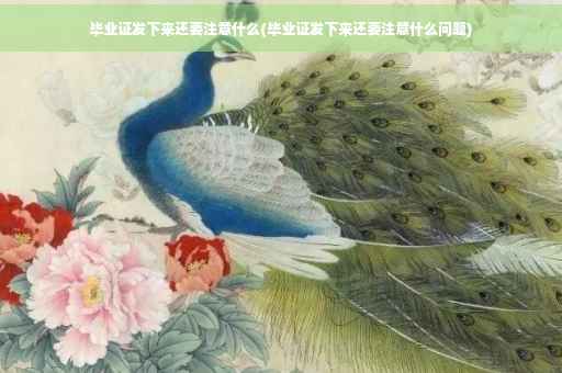 毕业证发下来还要注意什么(毕业证发下来还要注意什么问题)
