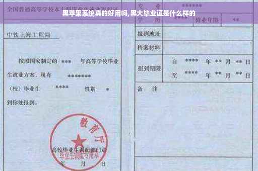 黑苹果系统真的好用吗,黑大毕业证是什么样的