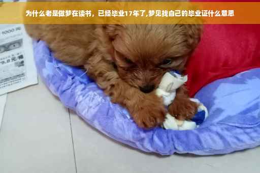为什么老是做梦在读书，已经毕业17年了,梦见找自己的毕业证什么意思