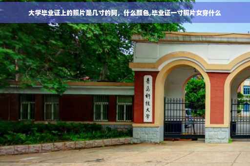 大学毕业证上的照片是几寸的阿，什么颜色,毕业证一寸照片女穿什么