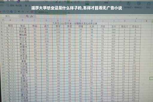 温莎大学毕业证是什么样子的,怎样才能看无广告小说