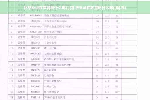 补毕业证在教育局什么部门(补毕业证在教育局什么部门补办)