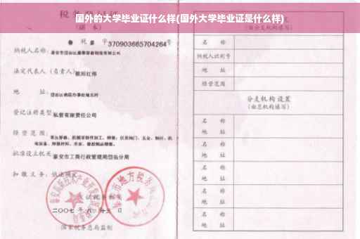国外的大学毕业证什么样(国外大学毕业证是什么样)