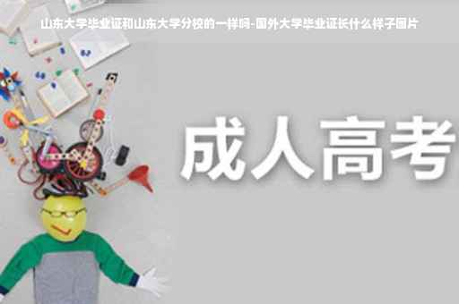 山东大学毕业证和山东大学分校的一样吗-国外大学毕业证长什么样子图片